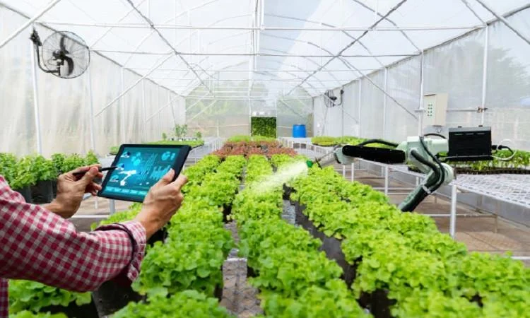 article Introduction to Smart Agriculture cover